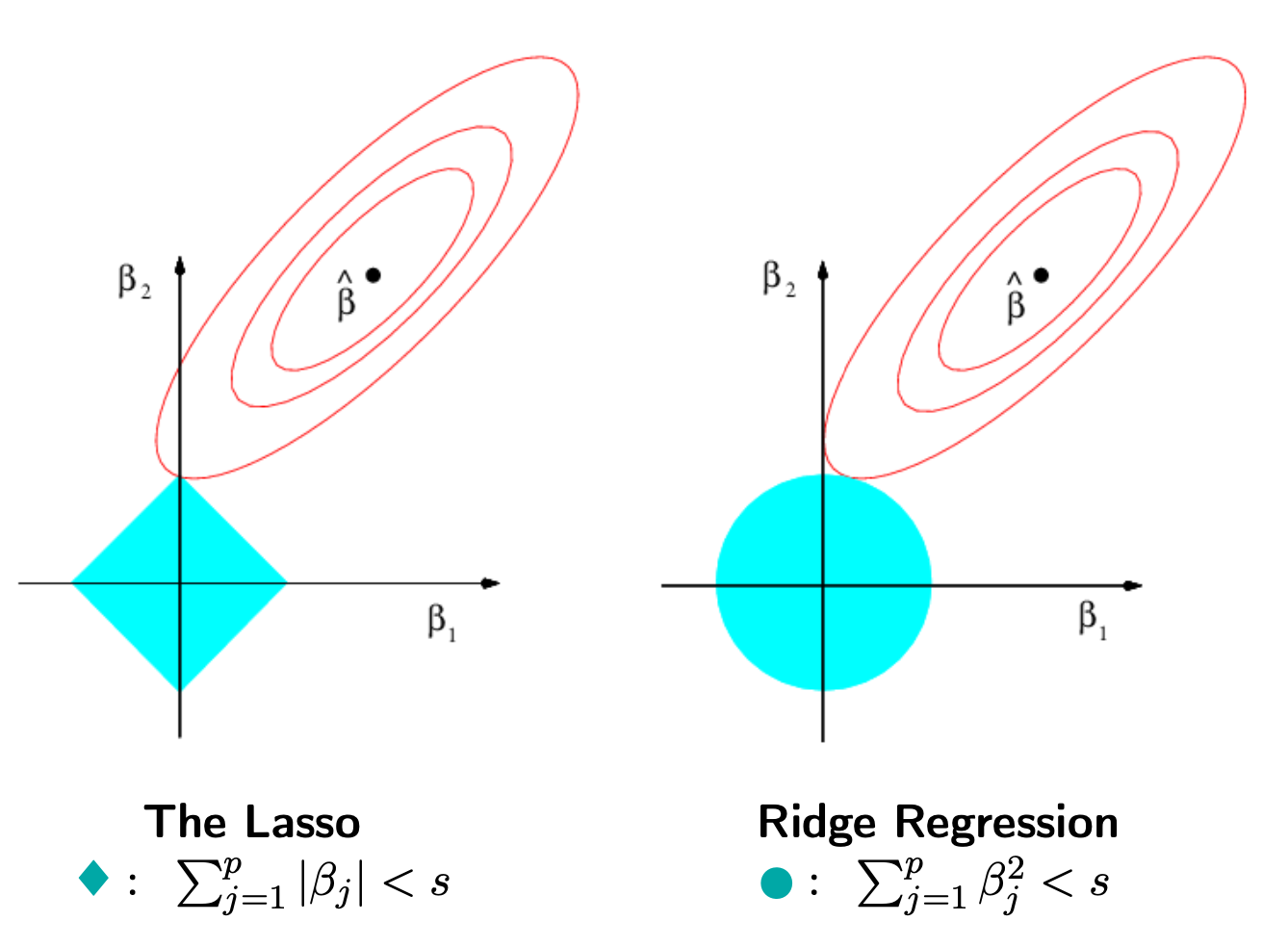 Ridge & Lasso